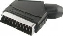  SCART